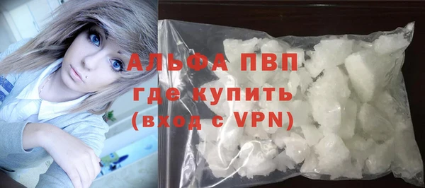индика Волосово