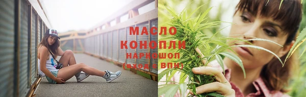 крисы Верея