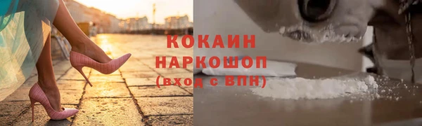 крисы Верея