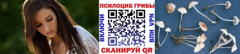 нарко площадка клад  купить наркоту  Карабулак  Галлюциногенные грибы мицелий  blacksprut как зайти 